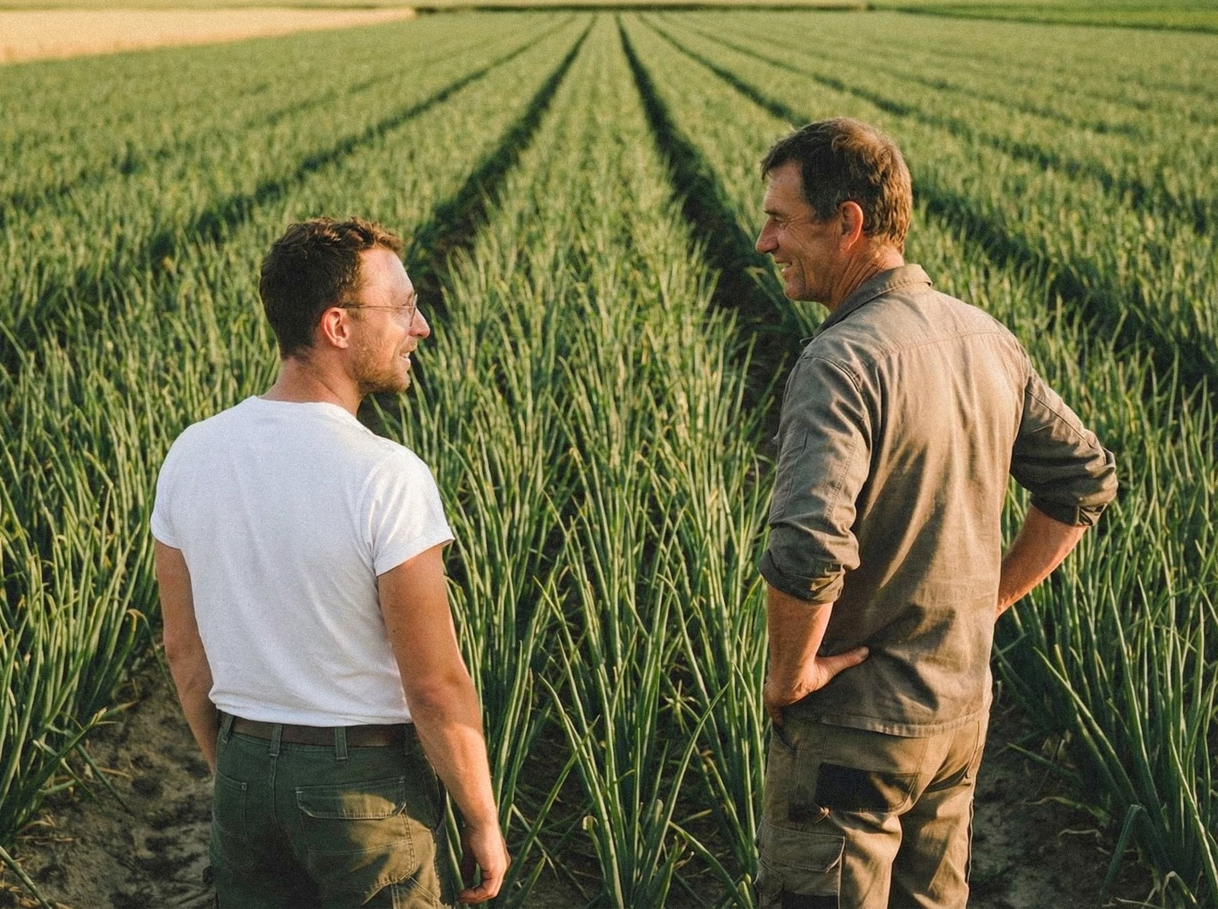 Blick über das Feld